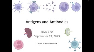 Immunology Fall 2023 Lecture 6 Antigens and Antibodies [upl. by Adolfo]