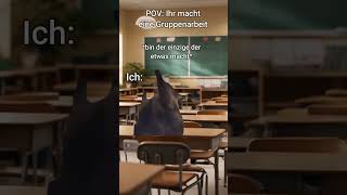 POV Ihr macht eine Gruppenarbeit 🫠 katzenvideos katzen shorts schule [upl. by Kwok856]