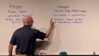 Microbiology Ch 4 Prokaryotes vs Eukaryotes [upl. by Trevah26]