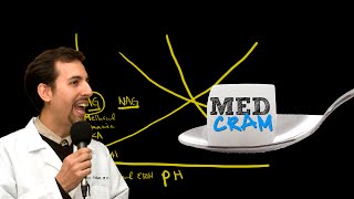 Medical Acid Base and ABGs Explained Clearly by MedCramcom  5 of 8 [upl. by Solange]