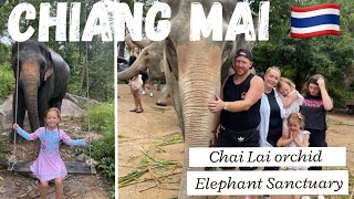 🇹🇭CHIANG MAI 🇹🇭Best Things To Do  Chai Lai Orchid Elephant Sanctuary [upl. by Sadira577]