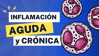 Emisión en directo  Inflamación regeneración y reparación de tejidos  Curso de patología 2024A [upl. by Gujral]