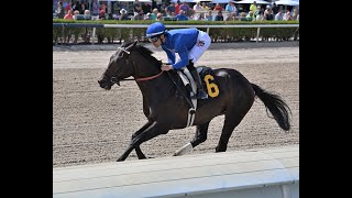 Gulfstream Park Resumen  28 de Marzo 2024 [upl. by Droflim767]