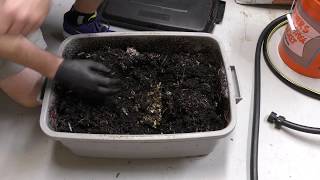 Compost Bin Update 662017 [upl. by Ahcas]