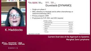 Current Overview of the Approach to Systemic Marginal Zone Lymphoma [upl. by Elokyn]