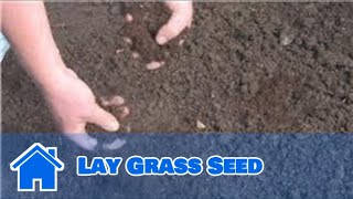 Lawn and Yard Help  How to Lay Grass Seed [upl. by Laiceps]