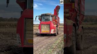 BIG HOLMER CHASER BIN CARTING MAIZE FOR SILAGE agri [upl. by Aleras444]