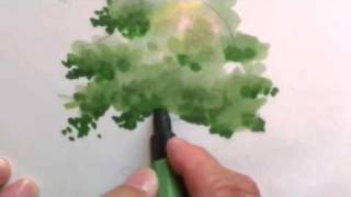 Mike Lin How to draw a tree with markers [upl. by Ynavoeg729]