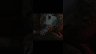 Fenrir Rest In Peace godofwar gaming shorts youtubeshorts viralvideo video kratos atreus [upl. by Kentigerma789]