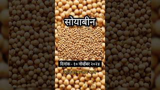 आजचे सोयाबीन बाजार भावajche soyabean bajar bhavsoyabean bhavsoyabean सोयाबीन [upl. by Doownelg]