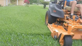 Lawn Care vlog 13 Spring Grass  a snake [upl. by Nadual]