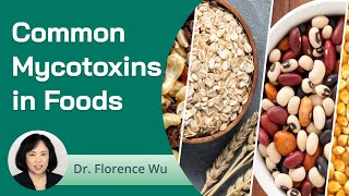 Common Mycotoxins in Foods amp Feeds [upl. by Eilyac138]