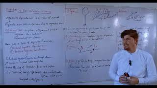 Vegetative propagation in plantsclass 10th biologypashto lecture [upl. by Arbmik]