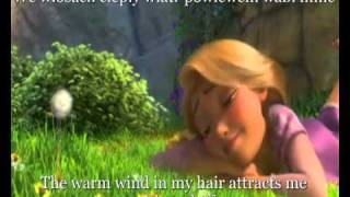 Tangled  When Will My Life Begin Reprise POLISH SubsampTrans [upl. by Ahsonek355]