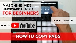 ✅ Maschine MK3 Beginners Tutorial How to Copy Pads [upl. by Carlota243]