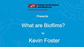 What are Biofilms  Kevin Foster [upl. by Kraft]