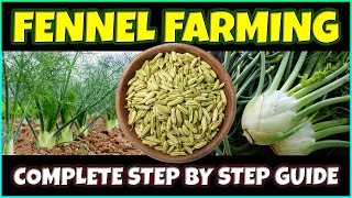 Fennel Farming Complete Guide  How to grow Fennel Plants from Seeds at Home  Fennel Cultivation [upl. by Fachini]