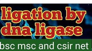 ligation process by dna ligase csir net [upl. by Anole710]