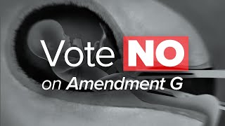 Vote NO on Amendment G to Stop Abortion on Babies Through 9 Months in South Dakota [upl. by Retxed]