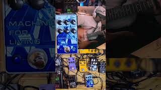 Stereo tremolo In a chorus guitar guitarpedaldemo chorus tremolo poisonnoises [upl. by Eilarol304]