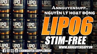 LIPO 6 STIM FREE NUTREX NGUYÊN LÝ HOẠT ĐỘNG [upl. by Odnanref]