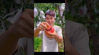 Fruit Cutting View Part 165 shorts ytshorts [upl. by Jacoby]