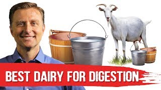 Best Dairy To Avoid Digestive Stress Lactose Intolerance – DrBerg [upl. by Mastrianni]