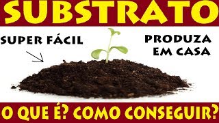 SUBSTRATO o que é e como produzir facilmente em casa [upl. by Surbeck]