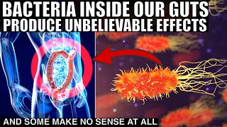 Mindblowing Discoveries About Bacteria Living Inside of Our Guts [upl. by Newob558]