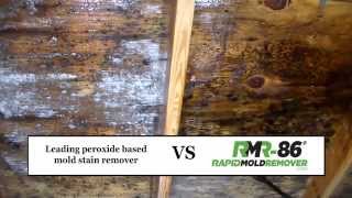 Mold Stain Removal Peroxide vs RMR86 [upl. by Homere]