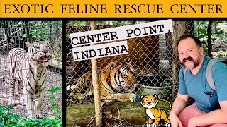 EXOTIC FELINE RESCUE CENTER  Animal Rescue  Lions Tigers and More  Zoo Vlog [upl. by Starks]