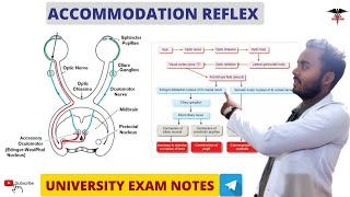 Accommodation Reflex  Special Sense Physiology [upl. by Wilt]