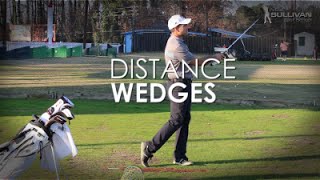 Distance Control with Wedges [upl. by Haneehs785]