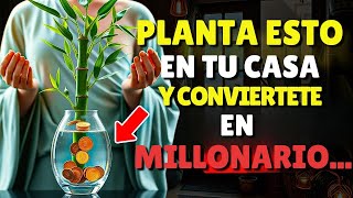 🪻5 Plantas que Necesitas en tu Casa para Atraer Riqueza a tu Vida🪻 [upl. by Smoot524]