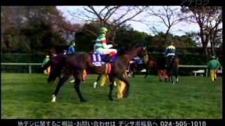 第55回 有馬記念 （GⅠ）：2010年競馬の総決算 [upl. by Carena]