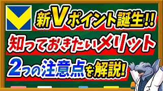 【SBI証券ユーザー必見】新しく登場した新Vポイントの概要や注意点、設定方法について徹底解説します！ [upl. by Nesnej]