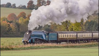 Steam Locomotives In The Autumn [upl. by Enaoj]