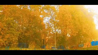 Mattan Martand pahalgam anantnag Aru tourism viralvideo youtuber [upl. by Odraccir]