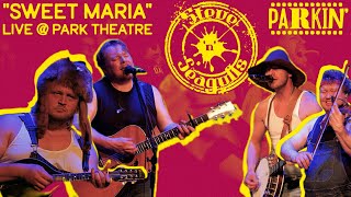 Heavy Metal or Bluegrass w Steve n Seagulls  Parkin Ep 4  quotSweet Mariaquot LIVE [upl. by Annawahs]