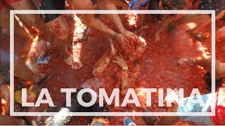 WORLDS LARGEST TOMATO FIGHT  La Tomatina 2016 [upl. by Kato]