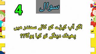 5 zabardast Paheliyan Urdu main five hard riddles in Urdu [upl. by Ynnaj]