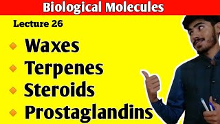 Waxes  Terpenes  Steroids  Cholesterol  Prostaglandins  Lipids Class 11  Class 11 Biology [upl. by Brietta]