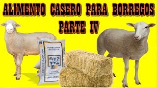 Alimento casero para ENGORDAR BORREGOS [upl. by Preston]