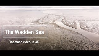 DJI MINI 2  Wadden Sea and seals  Waddenzee in cinematic video 4K [upl. by Natividad]