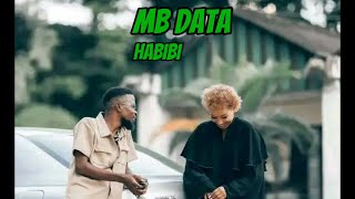 Mb Data  Habibi Official video lyrics [upl. by Yerffoj]