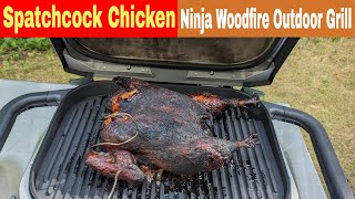 Whole Chicken Spatchcock Ninja Woodfire Outdoor Grill Recipe [upl. by Aurora]