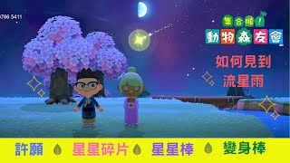 《集合啦！動物森友會》如何知道有流星｜許願及星星碎片用途 中文字幕 ｜ACNH meteor shower [upl. by Elissa]