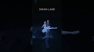 Swan Lake  The Royal Ballet royaloperahouse ballet shorts swanlake [upl. by Nivlak]