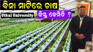 ବିନା ମାଟିରେ ଚାଷ କିନ୍ତୁ କେମିତି  How to do farming without soil efarmingodisha [upl. by Igor51]