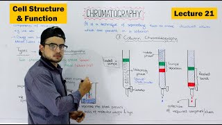 Chromatography and its types  Paper and Column Chromatography  Video 21 [upl. by Gino947]